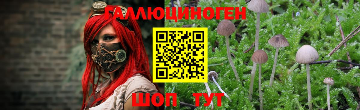 сколько стоит  Галлюциногенные грибы Magic Shrooms  Вход с VPN  Сокол 